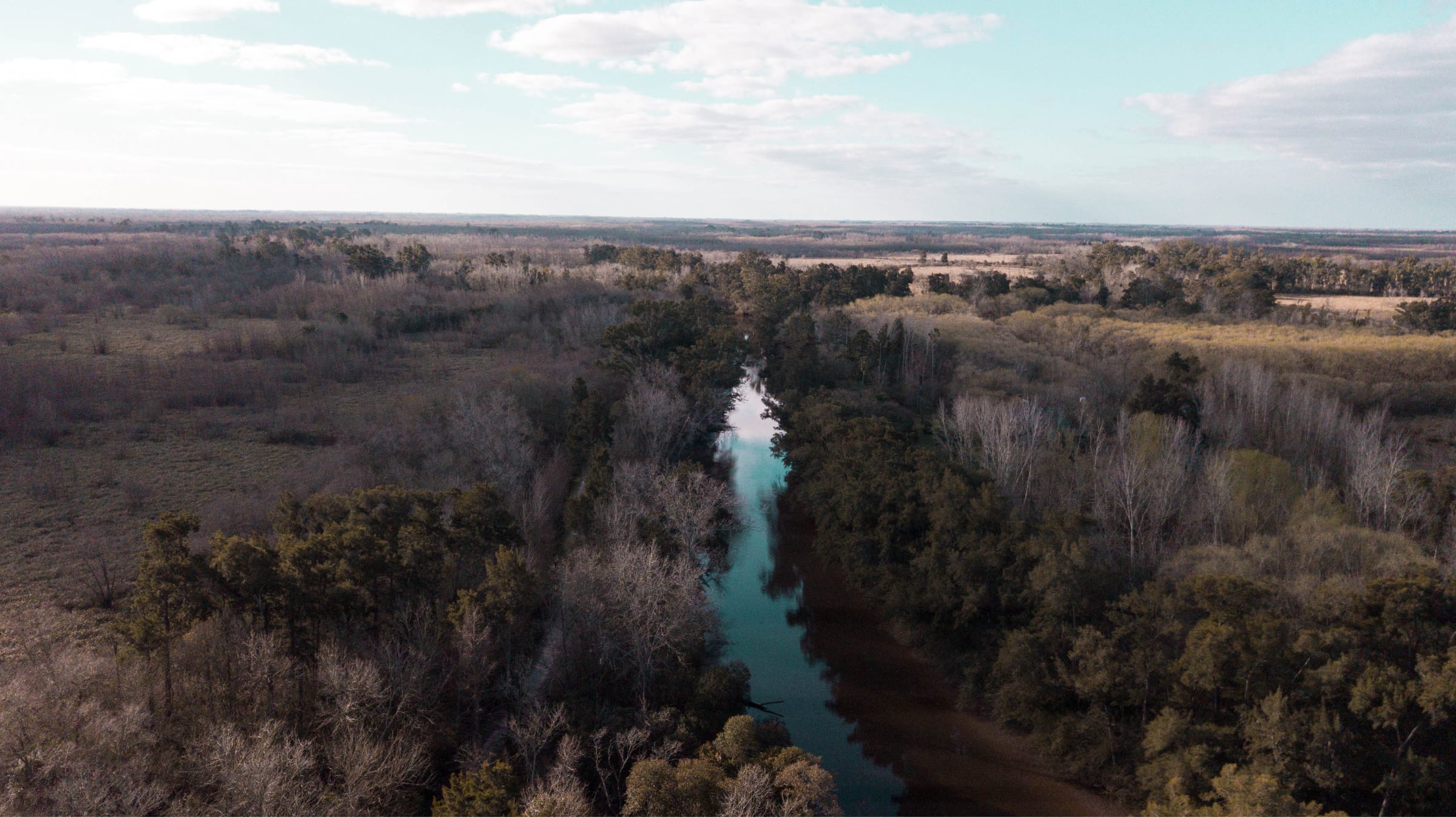 La reserva es un gran corredor biológico sobre la ribera donde se preservan las especies autóctonas del lugar