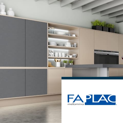 10_faplac
